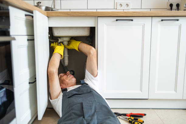 Best Local Plumber Services  in Ste Genevieve, MO